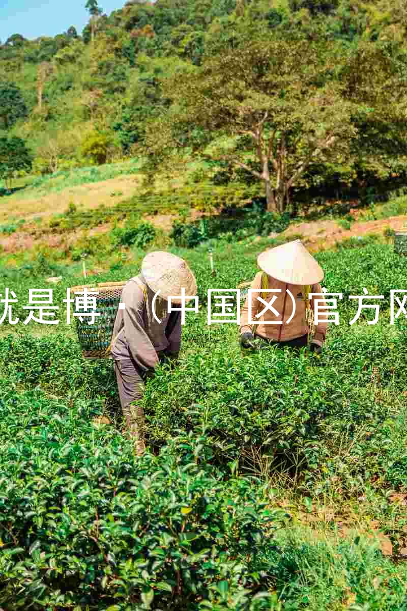 人生就是博·(中国区)官方网站z6