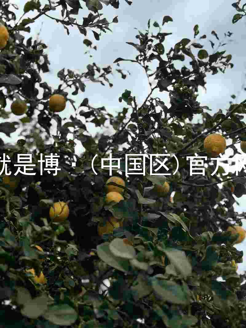 人生就是博·(中国区)官方网站z6