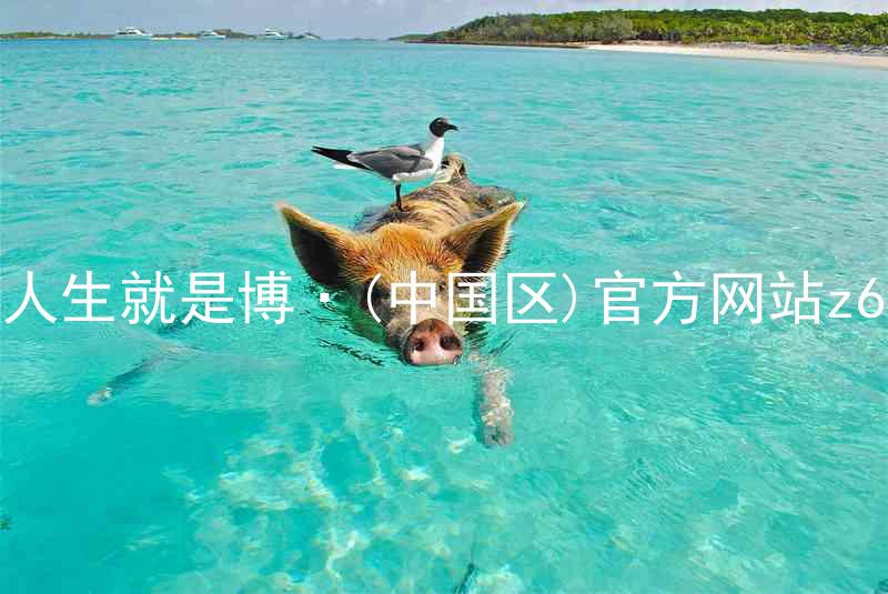 人生就是博·(中国区)官方网站z6