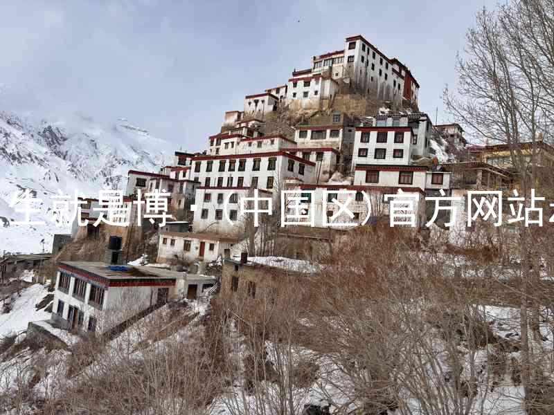 人生就是博·(中国区)官方网站z6